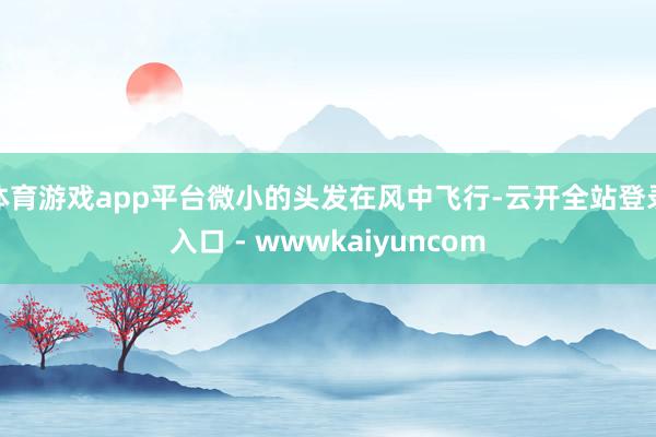 体育游戏app平台微小的头发在风中飞行-云开全站登录入口 - wwwkaiyuncom