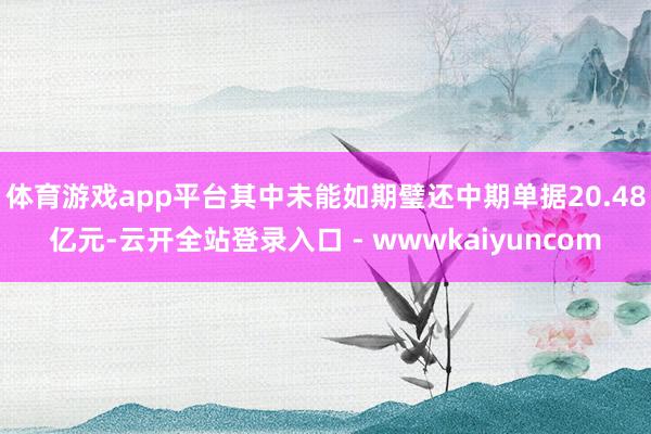 体育游戏app平台其中未能如期璧还中期单据20.48亿元-云开全站登录入口 - wwwkaiyuncom