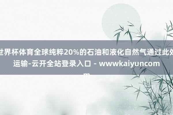 世界杯体育全球纯粹20%的石油和液化自然气通过此处运输-云开全站登录入口 - wwwkaiyuncom