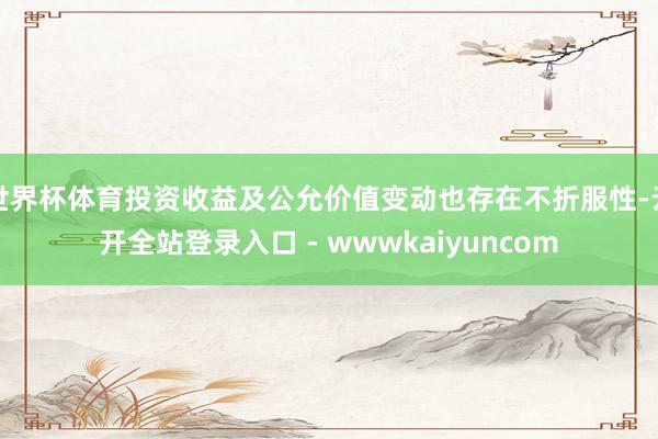 世界杯体育投资收益及公允价值变动也存在不折服性-云开全站登录入口 - wwwkaiyuncom