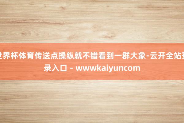 世界杯体育传送点操纵就不错看到一群大象-云开全站登录入口 - wwwkaiyuncom