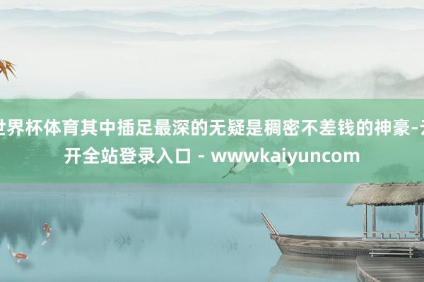世界杯体育其中插足最深的无疑是稠密不差钱的神豪-云开全站登录入口 - wwwkaiyuncom
