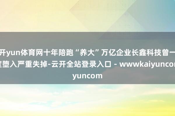 开yun体育网十年陪跑“养大”万亿企业长鑫科技曾一度堕入严重失掉-云开全站登录入口 - wwwkaiyuncom