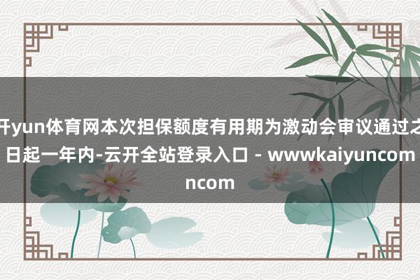 开yun体育网本次担保额度有用期为激动会审议通过之日起一年内-云开全站登录入口 - wwwkaiyuncom