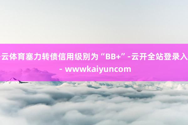 开云体育塞力转债信用级别为“BB+”-云开全站登录入口 - wwwkaiyuncom